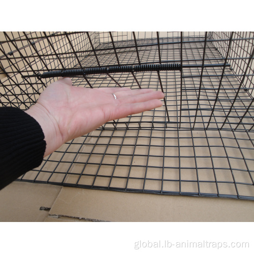 Live Animal Cage Traps humane live trap mice rat control catch cage Manufactory